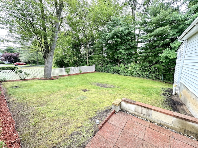 107 Montemerlo Ave, Windsor Locks, CT 06096 - view of yard