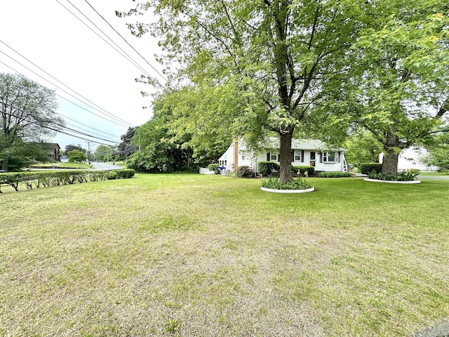 107 Montemerlo Ave, Windsor Locks, CT 06096 - view of grassy yard