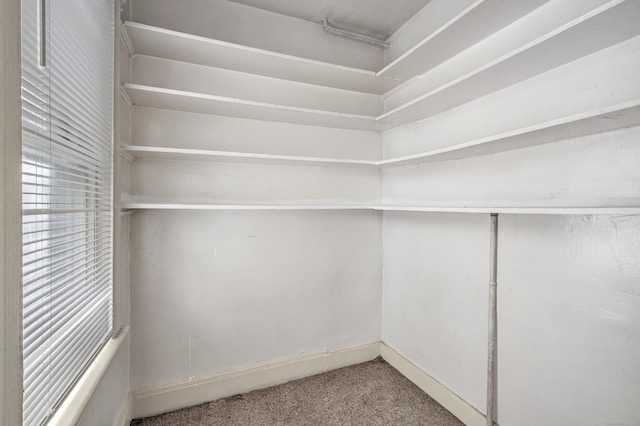67 Ash St, Bridgeport, CT 06605 - walk in closet featuring carpet