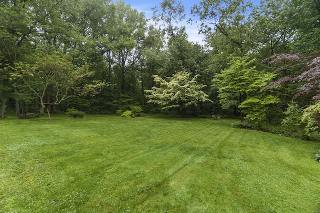 89 Pease Rd, Woodbridge, CT 06525 - view of green lawn
