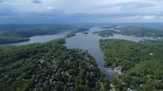 45 Twin Oaks Ln, Danbury, CT 06810 - aerial view of a heavily wooded area and a large body of water