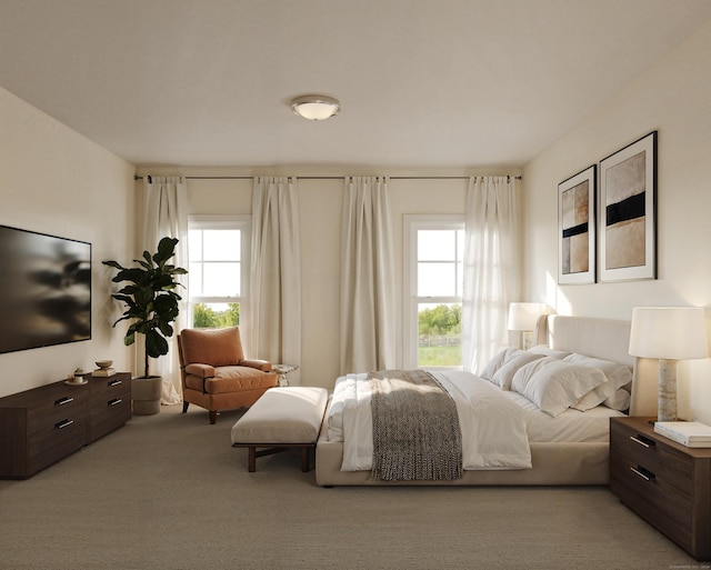 N Benson Rd Unit 47, Middlebury, CT 06762 - bedroom featuring carpet flooring
