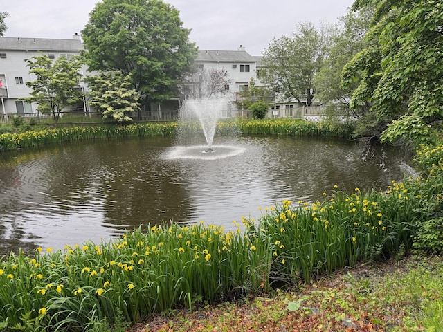 925 Oronoke Rd Unit 26F, Waterbury, CT 06708 - water view