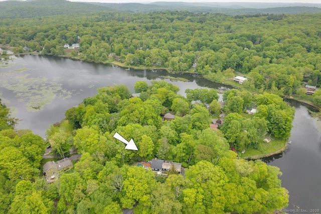 286 Limestone Rd, Ridgefield, CT 06877 - aerial view of property's location featuring a forest and a large body of water