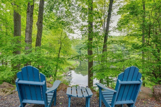 286 Limestone Rd, Ridgefield, CT 06877 - view of yard