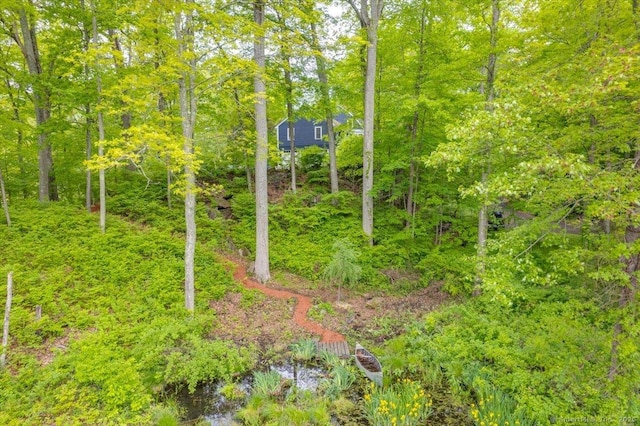 286 Limestone Rd, Ridgefield, CT 06877 - exterior view of a heavily wooded area