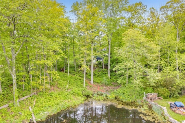 286 Limestone Rd, Ridgefield, CT 06877 - view of wooded area