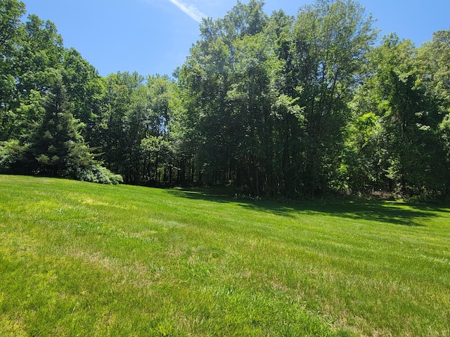 213 Baxter Rd Apt D, Mansfield, CT 06268 - view of green lawn featuring a forest view
