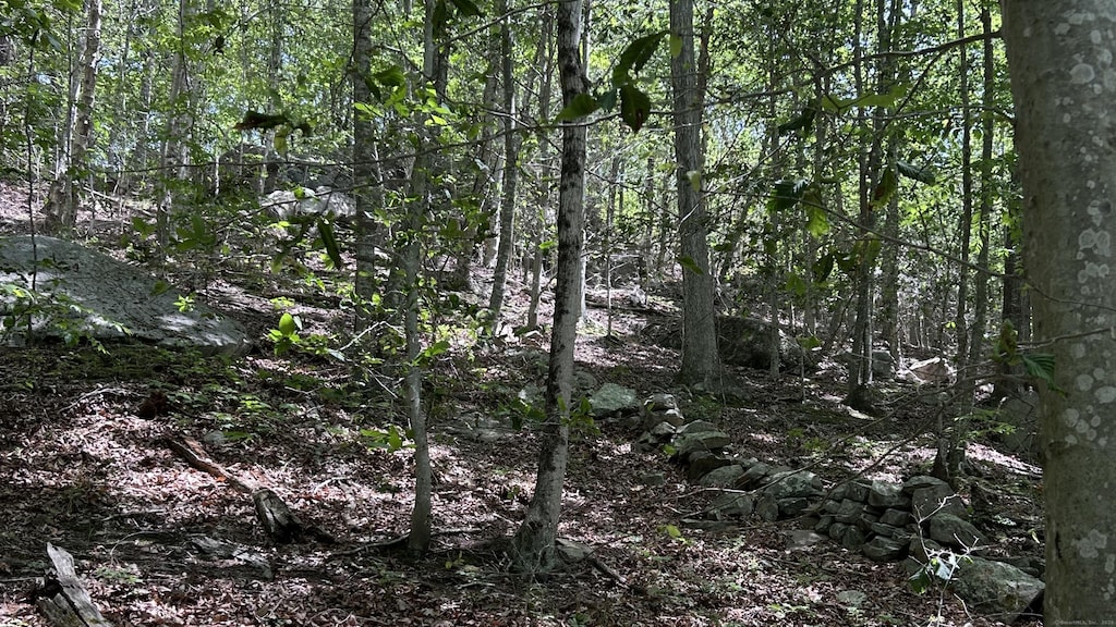 Norwich Salem Rd, East Haddam, CT 06423