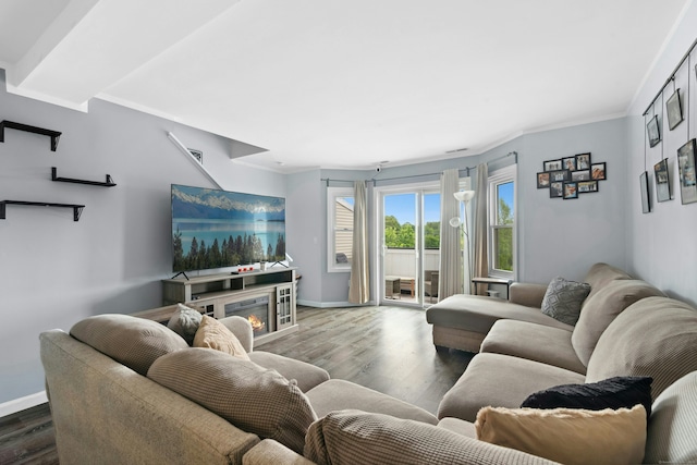 173 Russo Ave Unit 406, East Haven, CT 06513 - living area with wood finished floors, baseboards, a glass covered fireplace, and crown molding