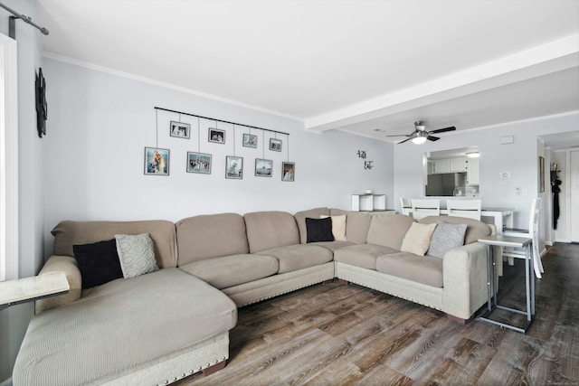 173 Russo Ave Unit 406, East Haven, CT 06513 - living area featuring dark wood-type flooring, ceiling fan, and beamed ceiling