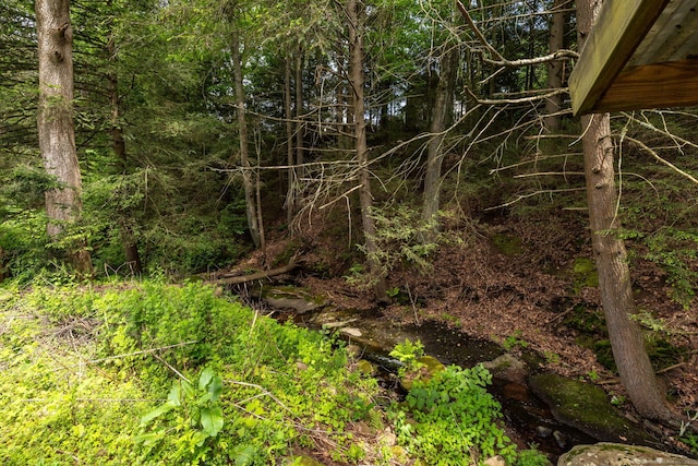127 Matson Hill Rd, Glastonbury, CT 06073 - view of undeveloped land