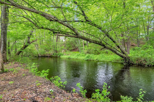 19 Cedarbrook Ln, East Lyme, CT 06333 - water view with a heavily wooded area