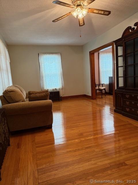 11 Deerfield St, East Haven, CT 06512 - living room with plenty of natural light, light wood-type flooring, ceiling fan, a textured ceiling, and baseboards