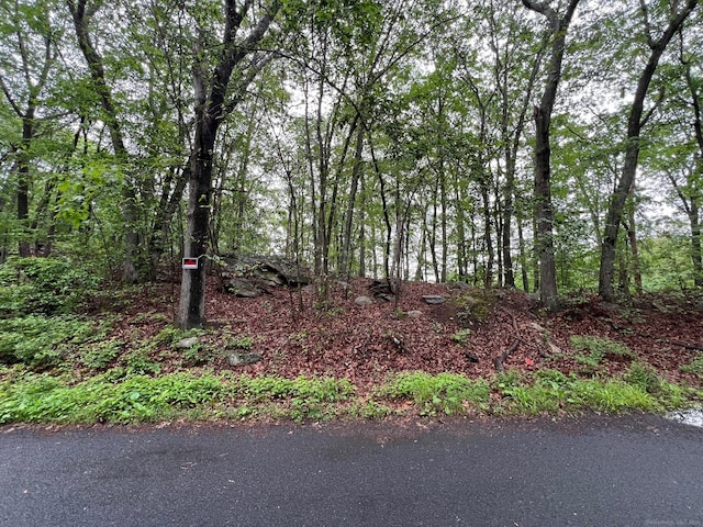 92 Walnut Ave, Shelton, CT 06484