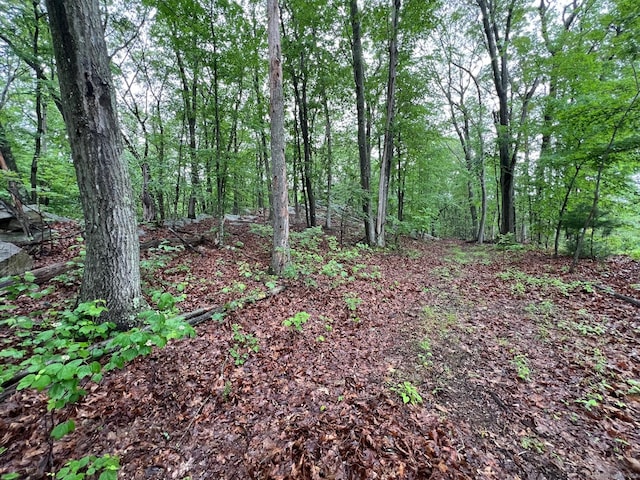92 Walnut Ave, Shelton, CT 06484