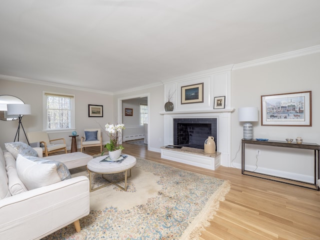 27 Powderhorn Dr, Ridgefield, CT 06877 - living room with light wood finished floors, crown molding, a baseboard heating unit, a fireplace with raised hearth, and baseboards