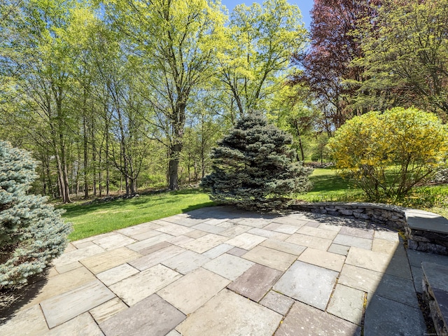 27 Powderhorn Dr, Ridgefield, CT 06877 - view of patio