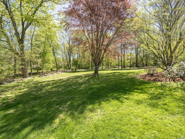 27 Powderhorn Dr, Ridgefield, CT 06877 - view of grassy yard