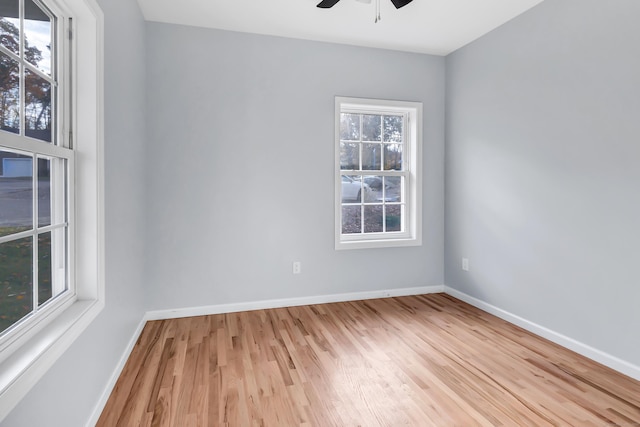 43 Sallys Way Unit 43, Shelton, CT 06484 - photo 4