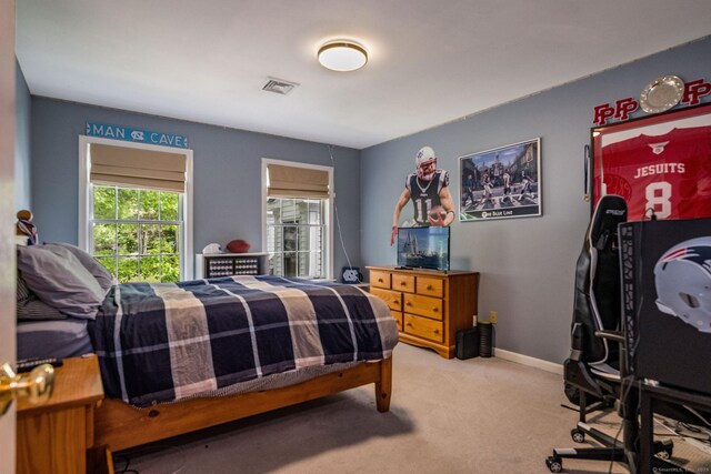 12 Stanton Ct, Madison, CT 06443 - bedroom with carpet floors and baseboards