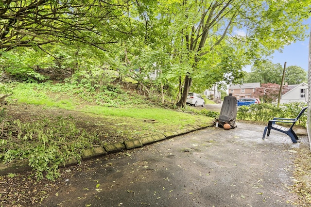 108 Highland Ave, Waterbury, CT 06708 - view of yard