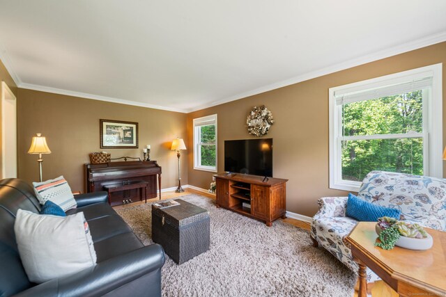 130 Grassy Hill Rd, Woodbury, CT 06798 - photo 6