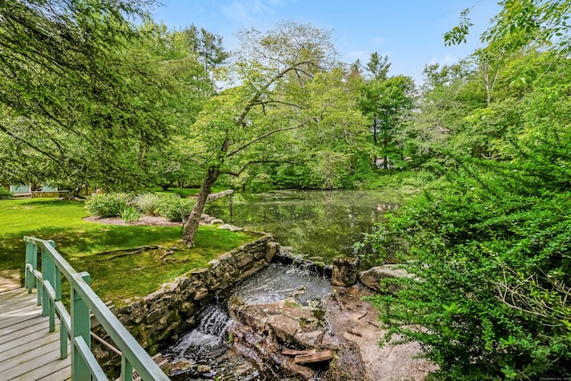 37 Salisbury Rd, Darien, CT 06820 - view of yard