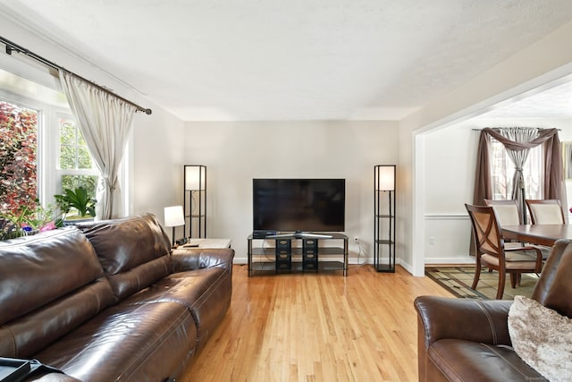 5 Crabapple Rd, Windsor, CT 06095 - living room featuring light wood-type flooring and baseboards