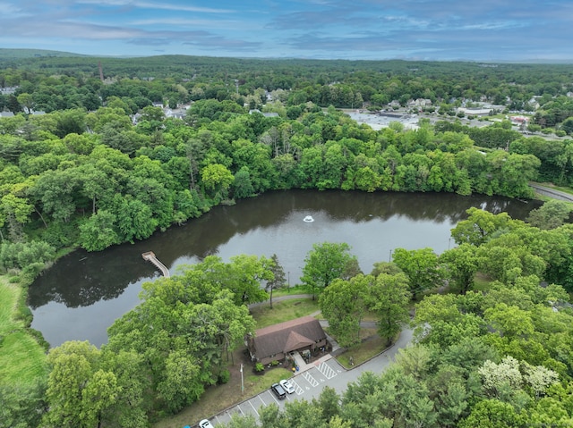 77 Hemlock St, Manchester, CT 06040 - aerial view of a heavily wooded area and a large body of water