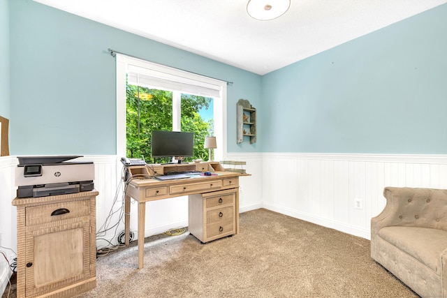 48 Shepherds Trl, Madison, CT 06443 - office space with wainscoting and carpet