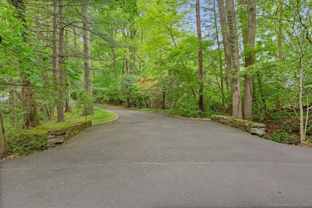 32 Jeffrey Rd, Greenwich, CT 06830 - view of asphalt road featuring a view of trees