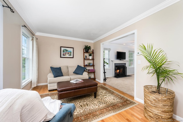 125 Longview Dr, Stratford, CT 06614 - living room featuring crown molding, wood finished floors, baseboards, and a fireplace with flush hearth