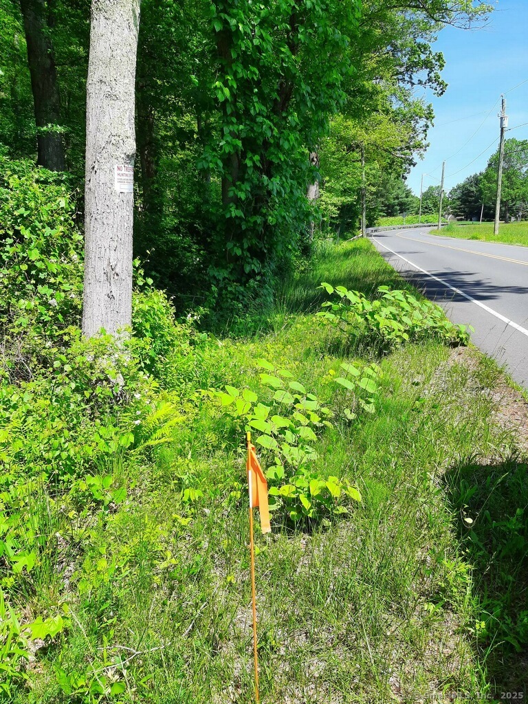 Mullen Rd, Enfield, CT 06082