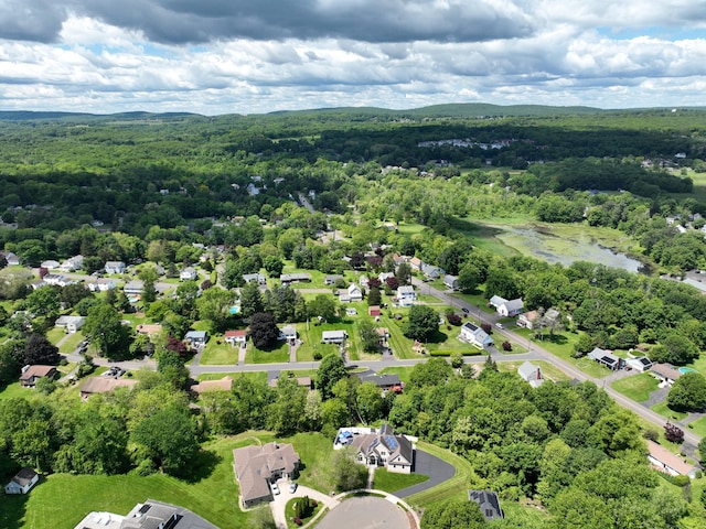 81 Aresco Dr, Middletown, CT 06457 - aerial view of a forest and a nearby body of water