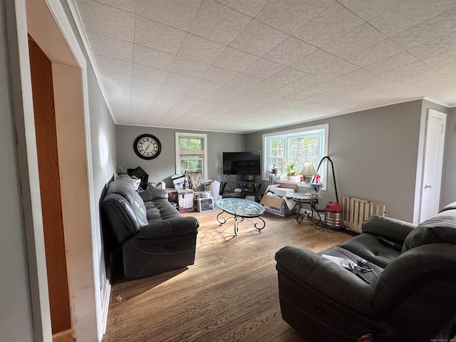 87 Munson Rd, Beacon Falls, CT 06403 - living area featuring wood finished floors and ornamental molding