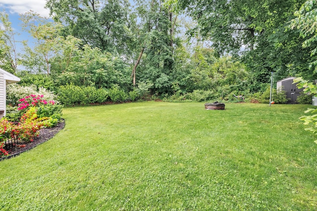 16 Hodge Ave, Ansonia, CT 06401 - view of grassy yard