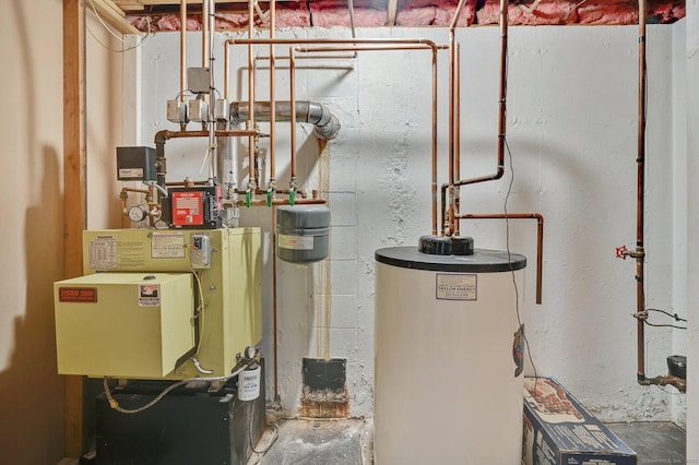 8 High Meadow Ln, Enfield, CT 06082 - utility room with water heater