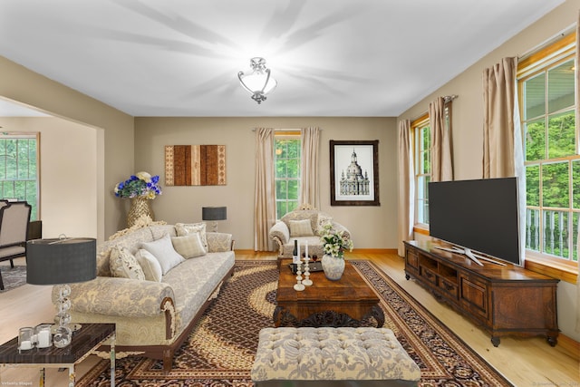 290 Amity Rd, Bethany, CT 06524 - living room with healthy amount of natural light and light wood-type flooring