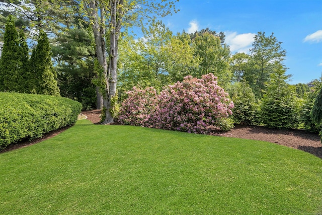 12 Harbor Rd, Westport, CT 06880 - photo 29