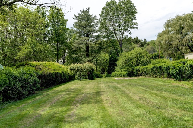 394 Mcclintock St, New Britain, CT 06053 - view of green lawn