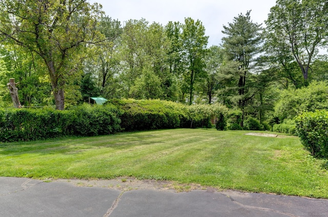 394 Mcclintock St, New Britain, CT 06053 - view of green lawn
