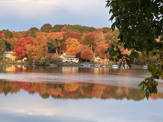 1795 Wolcott Rd, Wolcott, CT 06716 - water view with a heavily wooded area