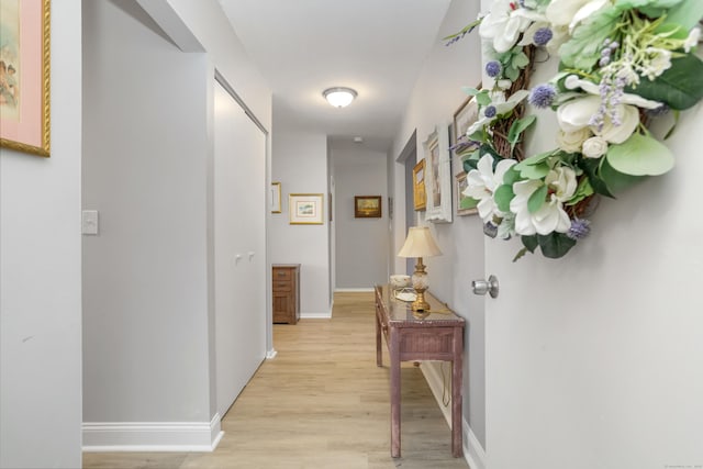 87 E Broadway Unit D, Milford, CT 06460 - hallway with light wood-style flooring and baseboards