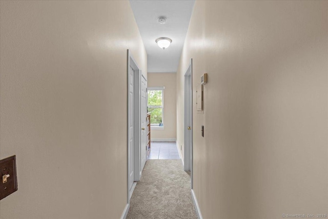 68 Morris St Unit 202, Hartford, CT 06114 - hall featuring light carpet and baseboards