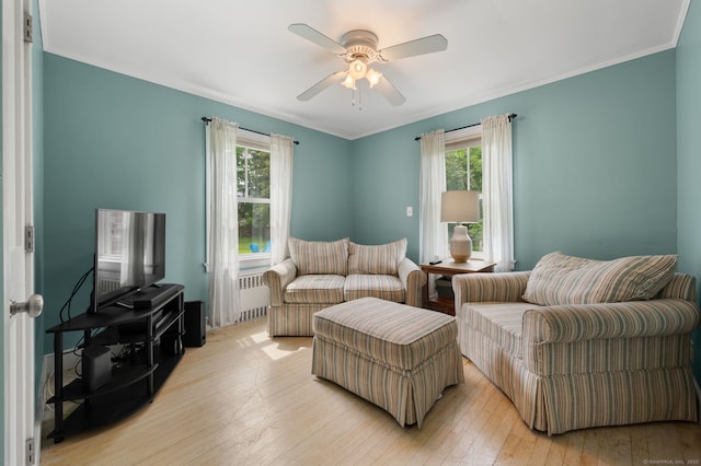 8 Maple Ave, Clinton, CT 06413 - living area featuring a ceiling fan, radiator heating unit, light wood-style floors, and crown molding