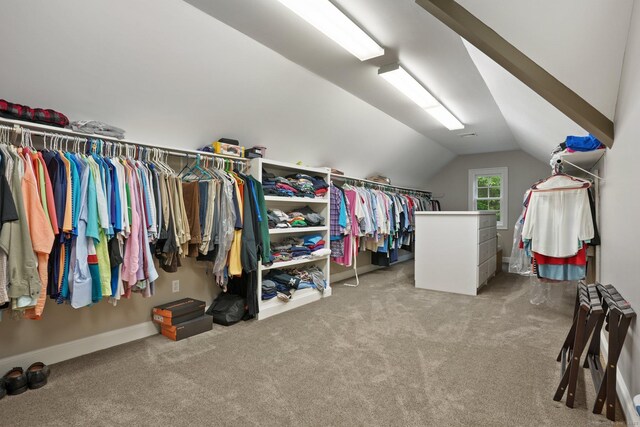 36 Fox Mdw, Marlborough, CT 06447 - walk in closet featuring lofted ceiling and carpet