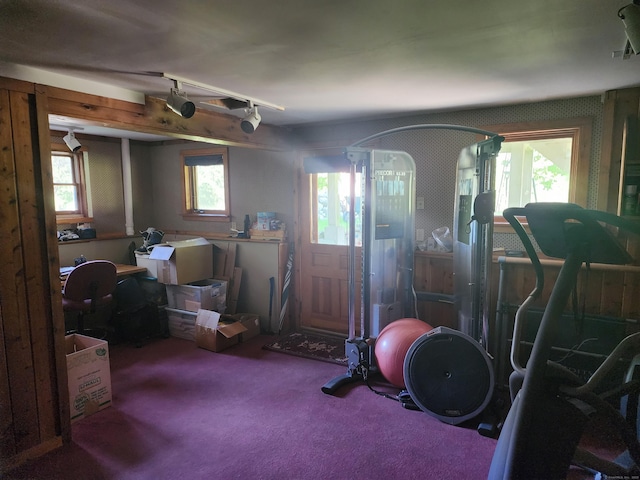 310 S Bigelow Rd, Hampton, CT 06247 - exercise area with healthy amount of natural light, track lighting, and carpet floors