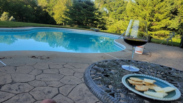 310 S Bigelow Rd, Hampton, CT 06247 - swimming pool featuring a patio area and a forest view