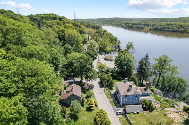 6 Landing Hill Rd, East Haddam, CT 06423 - bird's eye view of a forest and a large body of water